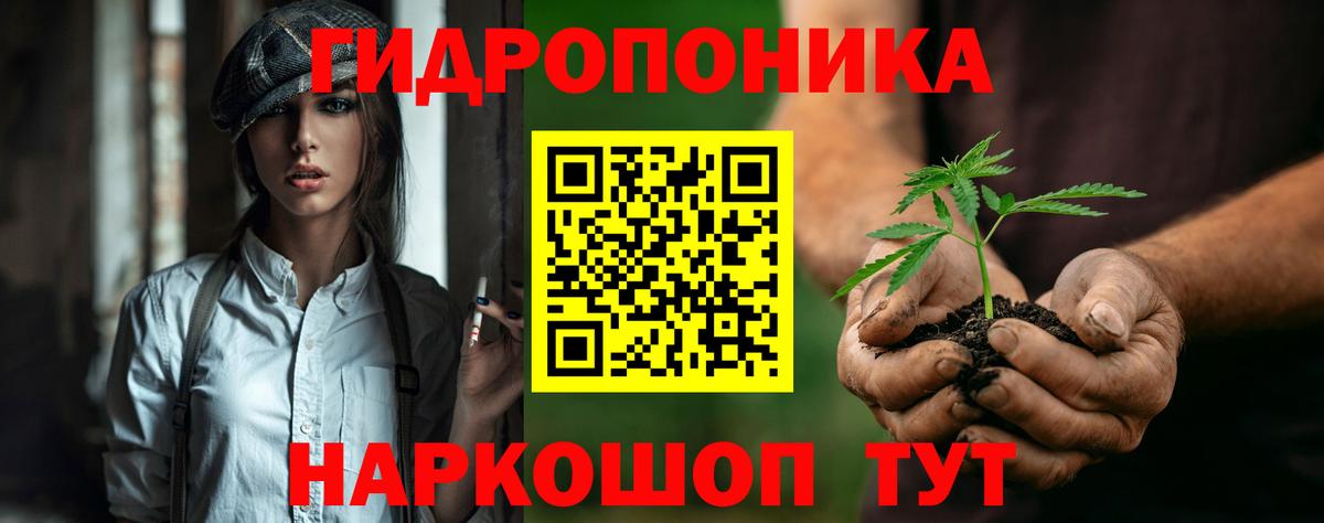Каннабис OG Kush  Вход с VPN  Канабис AK-47  Канабис семена  Оренбург 